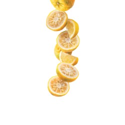 Yuzu citronu sīrups 1L