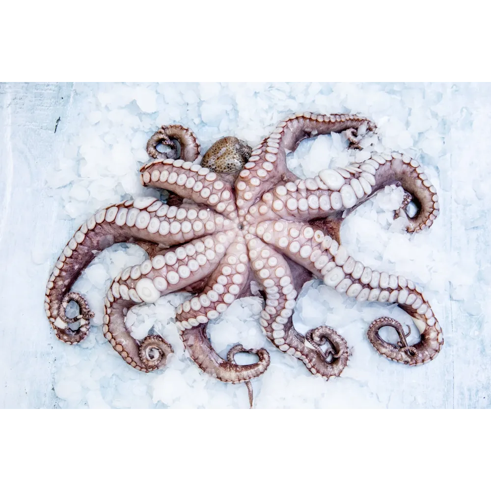 GR185 Ledo Generatorius