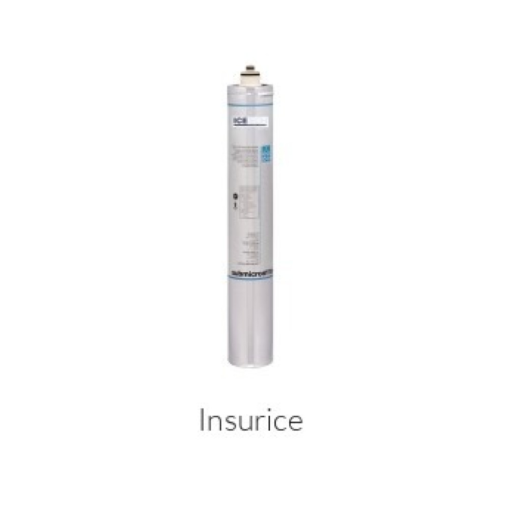 Insurice Filter without Gauge