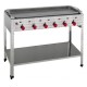 Gas combi stand grill S6