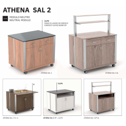 MODULE NEUTRE ATHENA SAL N2