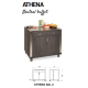 MODULE NEUTRE ATHENA SAL 2