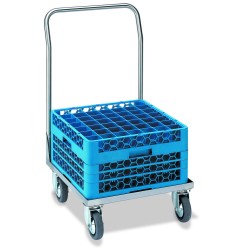 TRANSPORTO RATAS BACCO 50x50