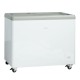 Ice cream freezer IC310D