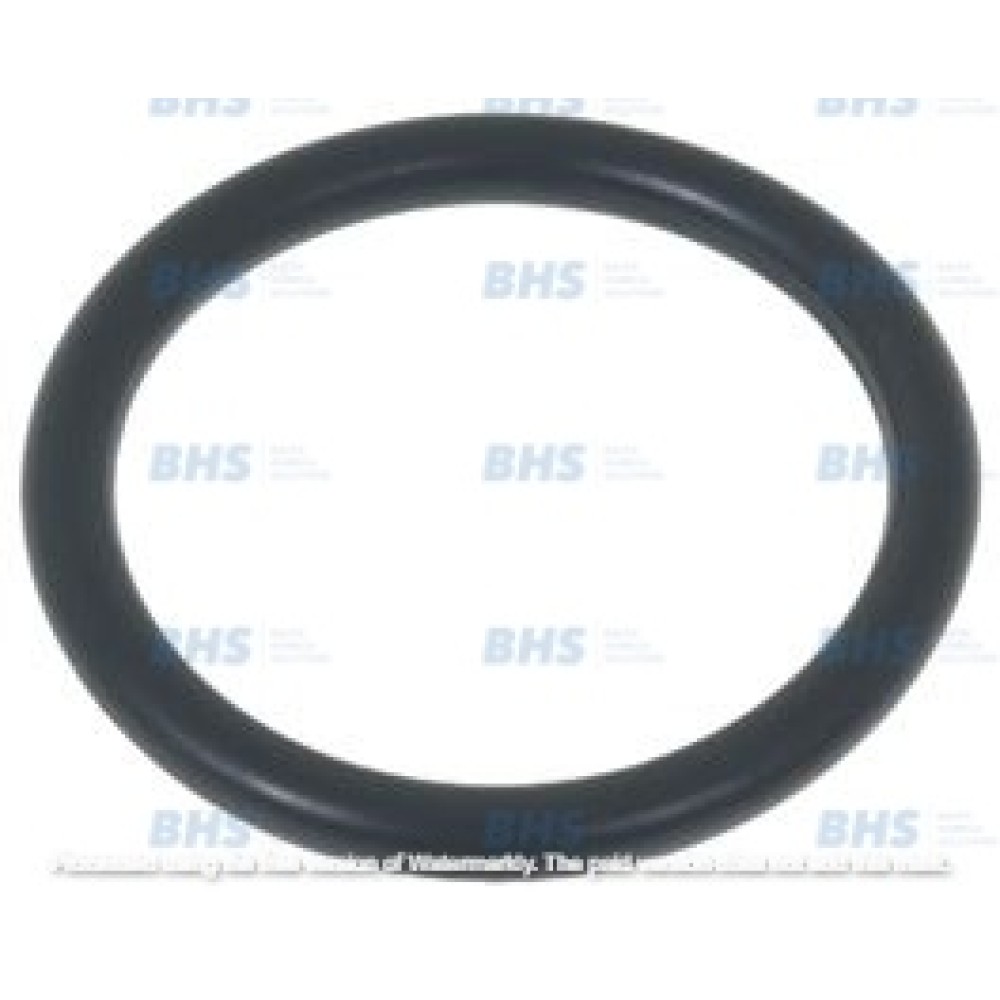 O-RING 04112 EPDM