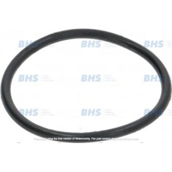 O-RING 04200 EPDM