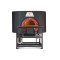 Wood and gas pizza oven ROTATING100