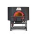 Wood and gas pizza oven ROTATING100