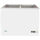 Eco Line G-SD320PS Static Freezer with Glass Top