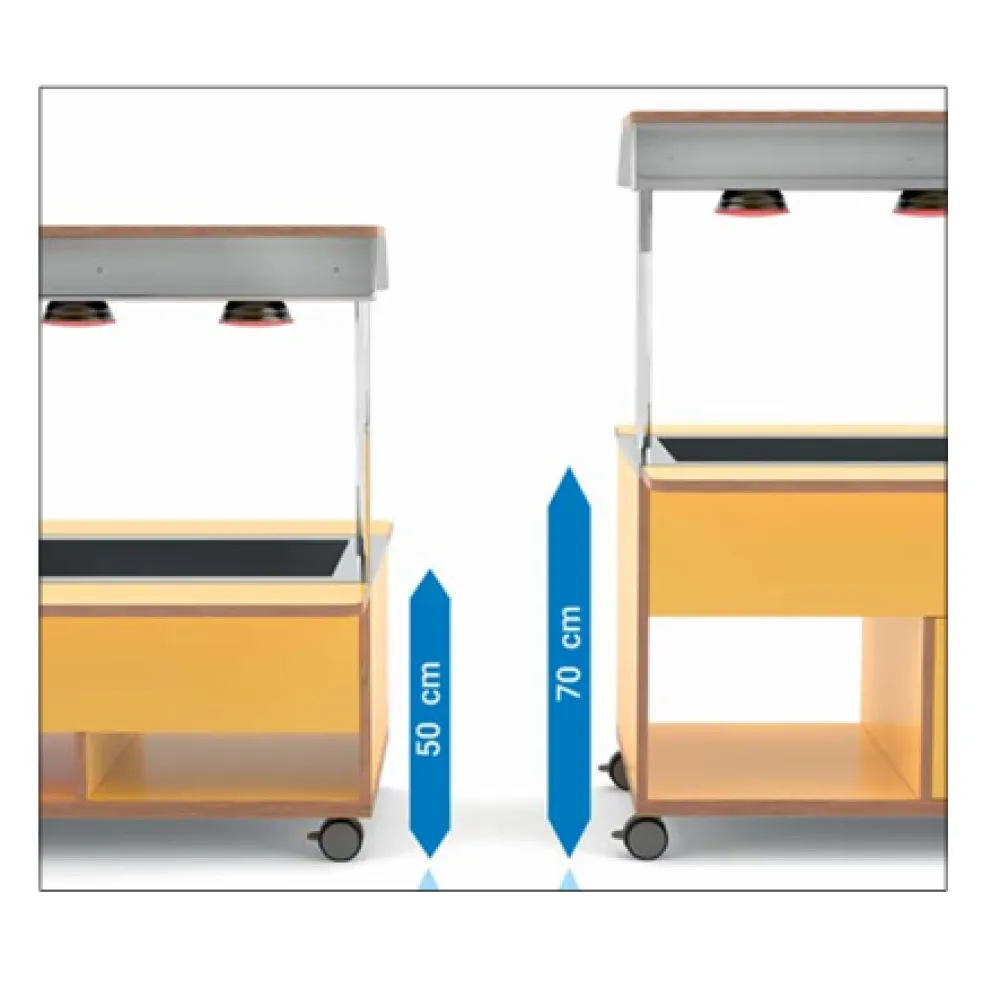 Versatile Heated Bain Marie Buffet with Infrared Lighting
