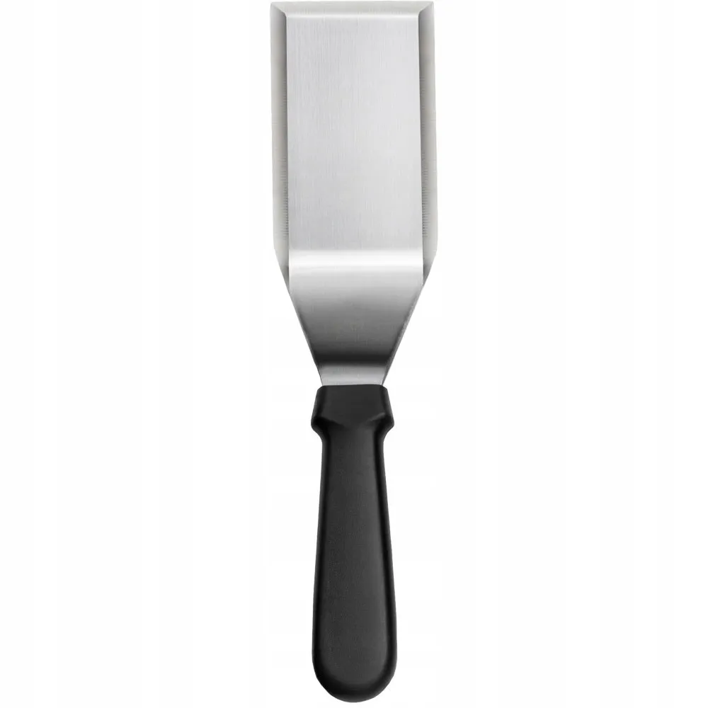 Spatule en Acier Robuste Saneli 174x71 mm