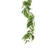 Sirop de Thé Vert 1L - Fraîcheur et Vitalité Sirop de Thé Vert 1L - Fraîcheur et Vitalité
