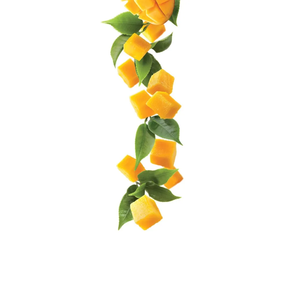 Sirop Mango Tea Glacé 1L Sirop Mango Tea Glacé 1L