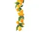 Sirop Mango Tea Glacé 1L Sirop Mango Tea Glacé 1L