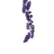 Sirop de Lavande 1L - Elégance Florale Sirop de Lavande 1L - Elégance Florale