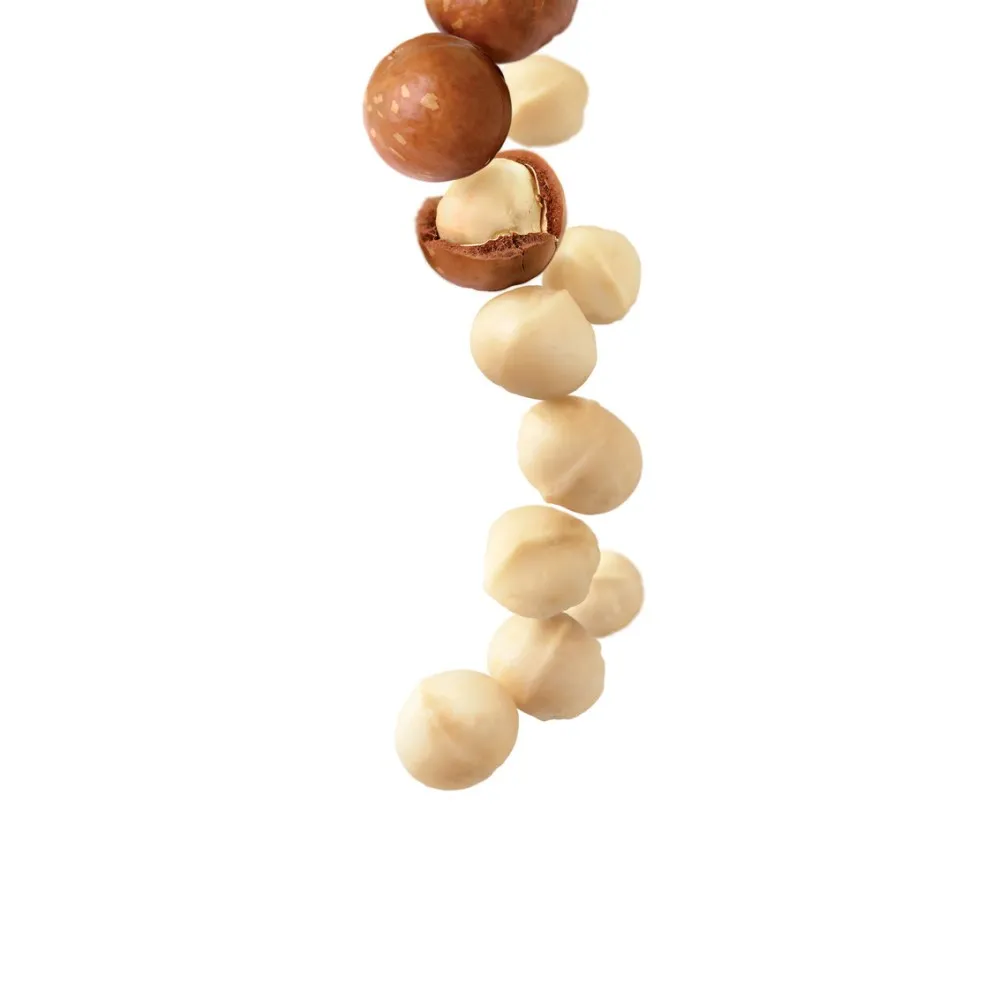 Syrup de noix de macadamia 1L - Élégance et Savoir-Faire Syrup de noix de macadamia 1L - Élégance et Savoir-Faire