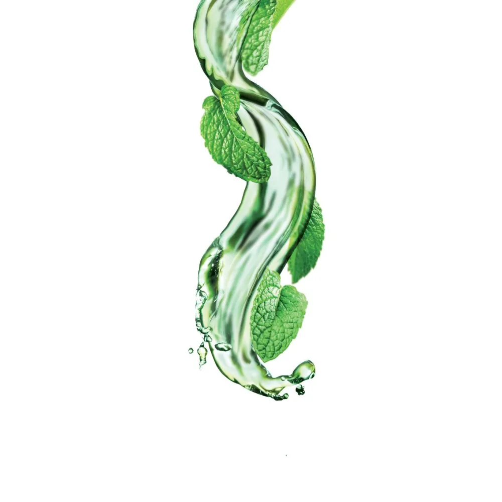 Gaivus Mojito sirupas 1L