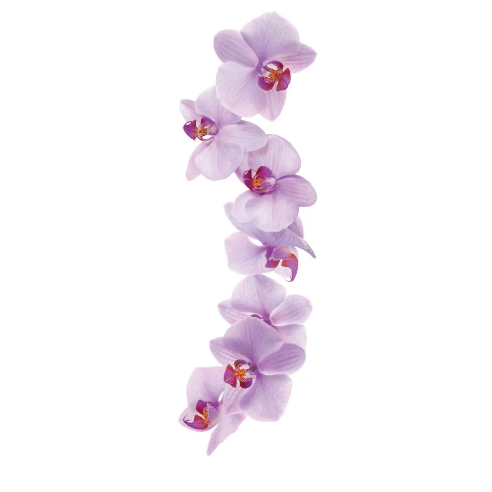 Orchidinis sirupas 1L – Jūsų gėrimų partneris