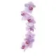 Orchidinis sirupas 1L – Jūsų gėrimų partneris