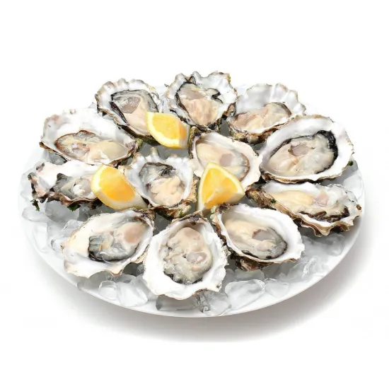 Ledus ģenerātors CD DIAMOND ICE