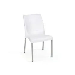 Chair Cindy