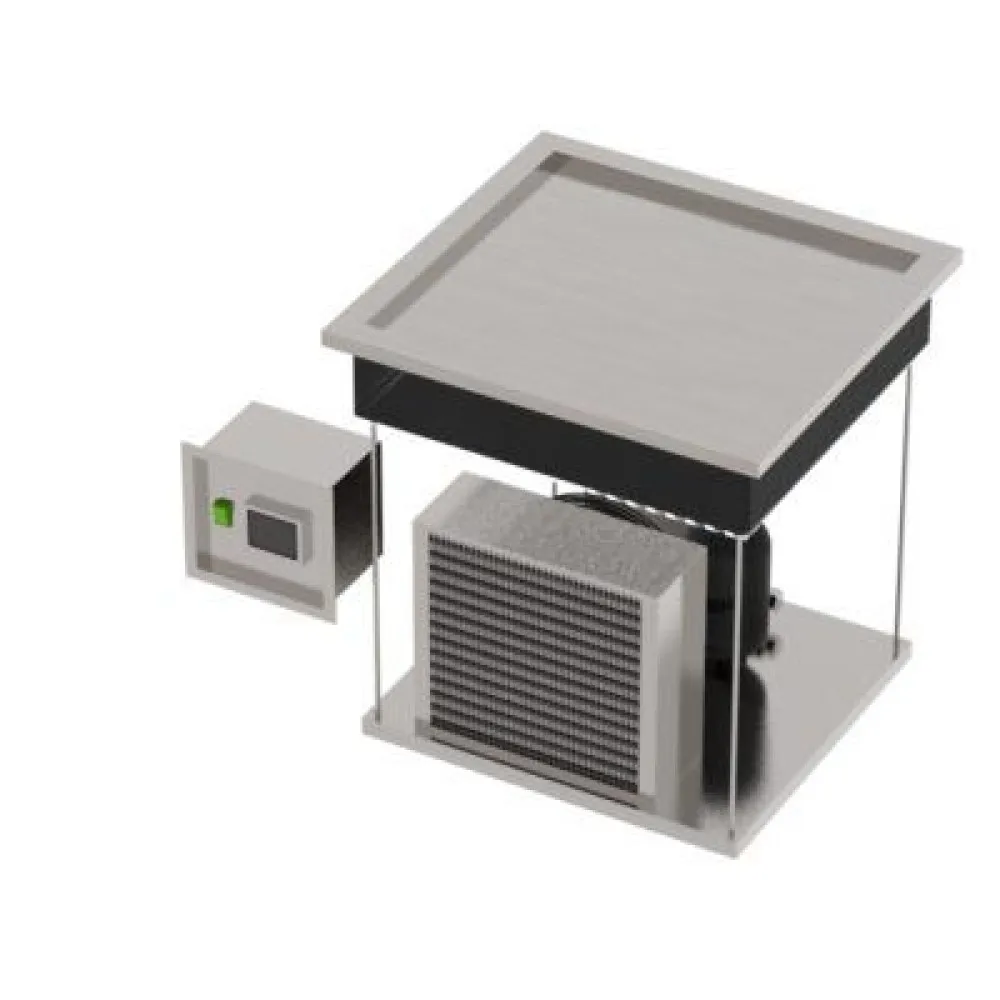 Tepp-Ice Refrigerated Plate for Culinary Innovation