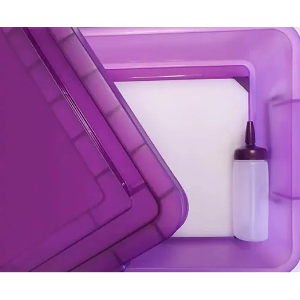 Allergy-Friendly Food Storage Bundle