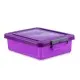 Allergy-Friendly Food Storage Bundle
