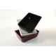 Polimetilmetakrilato GN 1/5 80 mm Plexi indas baltas (A00006228)