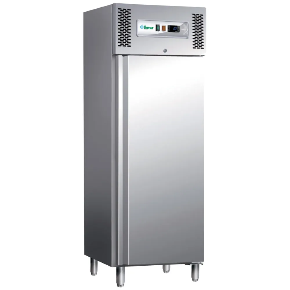 ProCool GN2/1 Freezer - Heavy Duty Performance