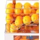Frucosol F50 Professional Orange Juicer