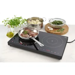 Divvietīga indukcijas plīts  3.5 kW                     