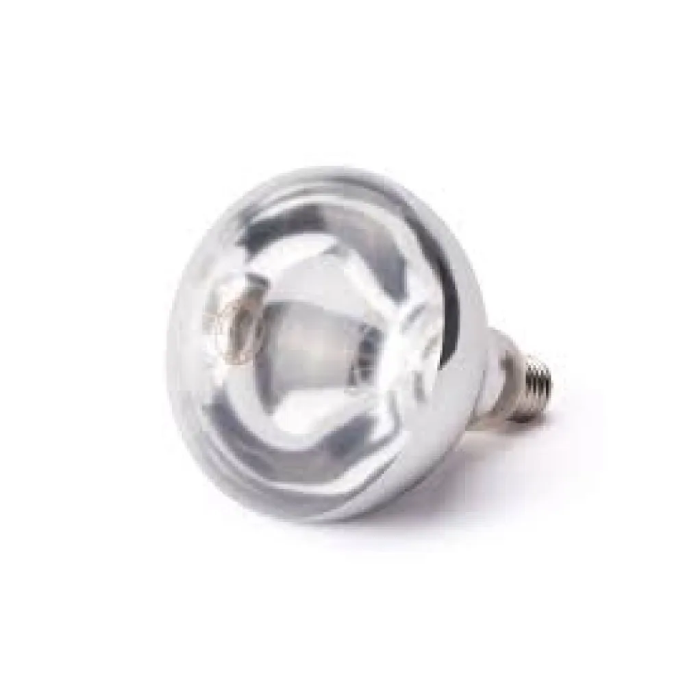 Ampoule Infrarouge Résistante 230V/250W
