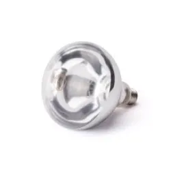Лампочка 230V/250W
