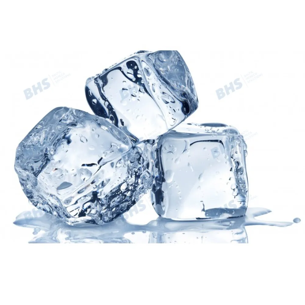 Efficient Ice Maker SS 25W