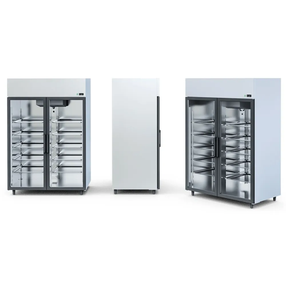 Moderns OLA2 AG-GASTRO ledusskapis