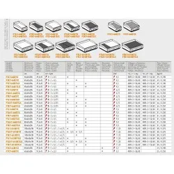 Elektriskā virsma cēpšanai FTLT-66ETSX