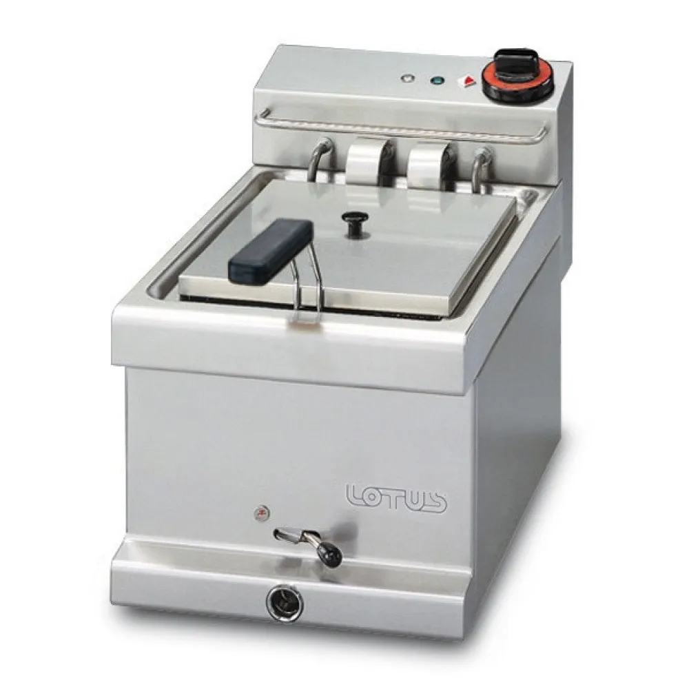 Friteuse Électrique 6 L FEM-6