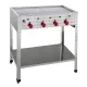 Gaasigrill S4 - Täiuslik Suvegrill Gaasigrill S4 - Täiuslik Suvegrill