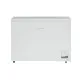 Efficient Chest Freezer CF 300 W