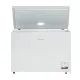 Efficient Chest Freezer CF 300 W