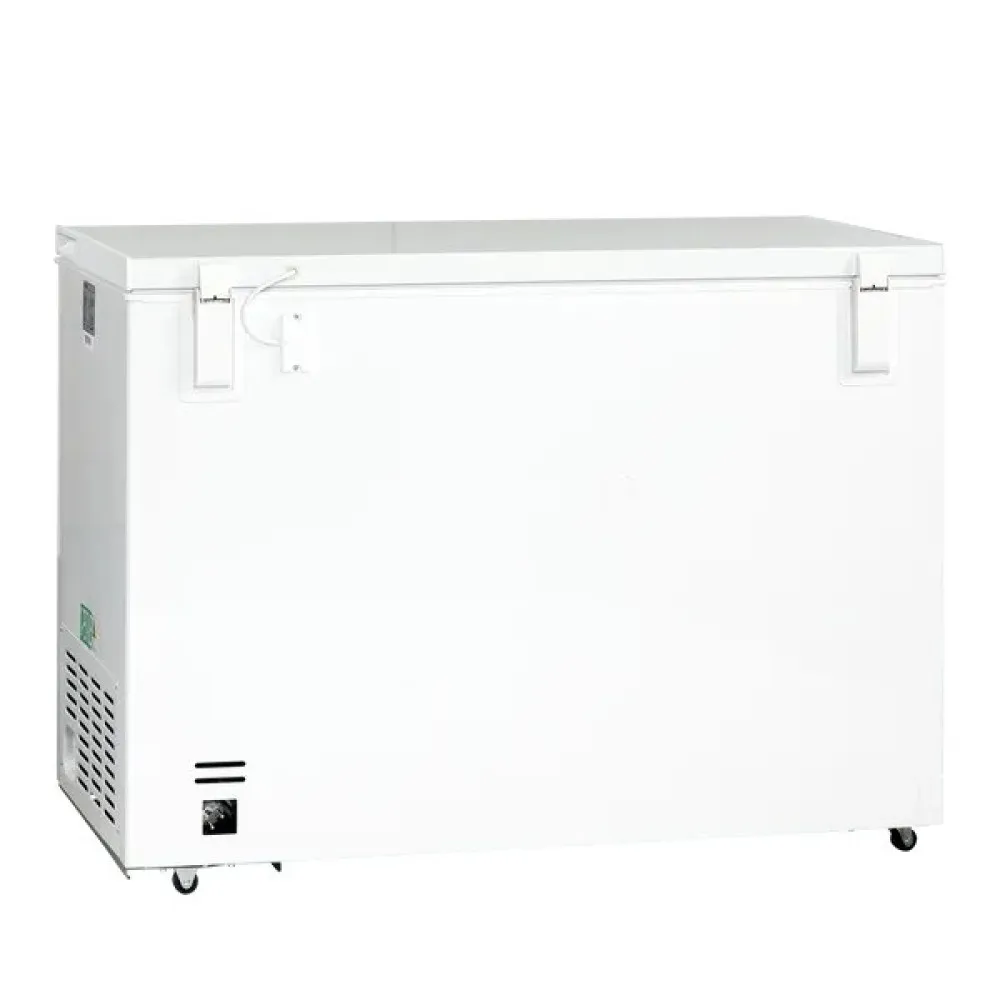 Efficient Chest Freezer CF 300 W