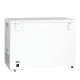Efficient Chest Freezer CF 300 W