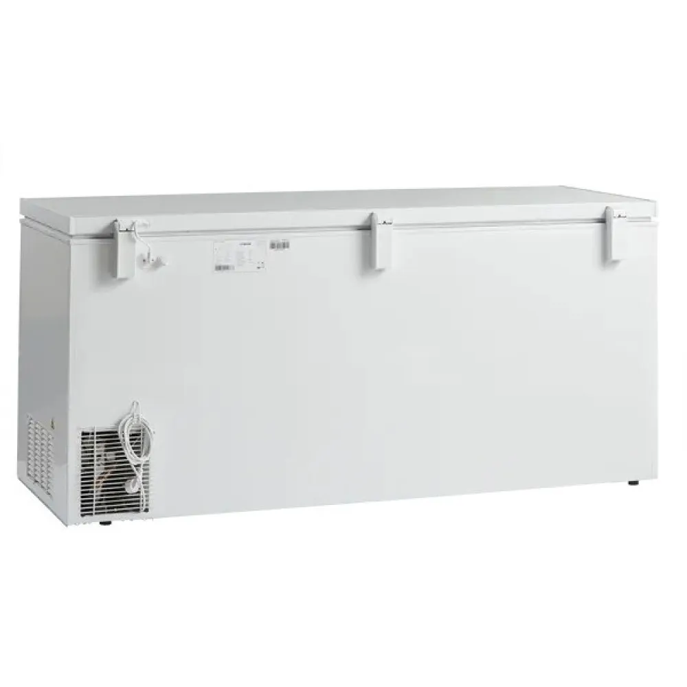 Efficient 560L Chest Freezer