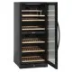 Elegant Wine Storage Cooler SV 104 B
