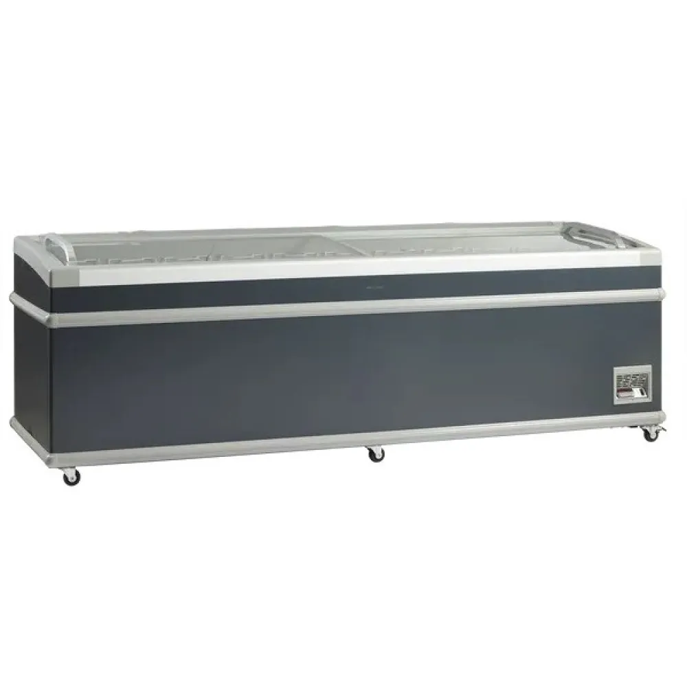 Congélateur Vitrine SIF 900 C