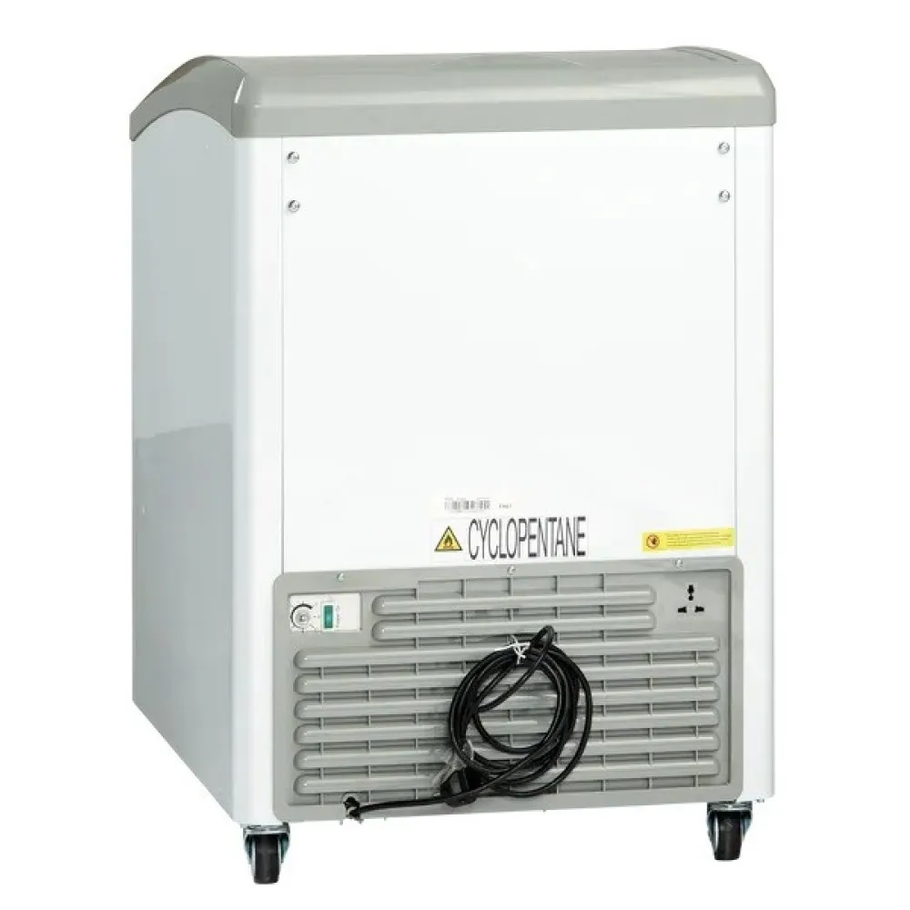 Versatile Ice Cream Freezer IC155D
