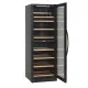 Elegant 416L Wine Storage Solution