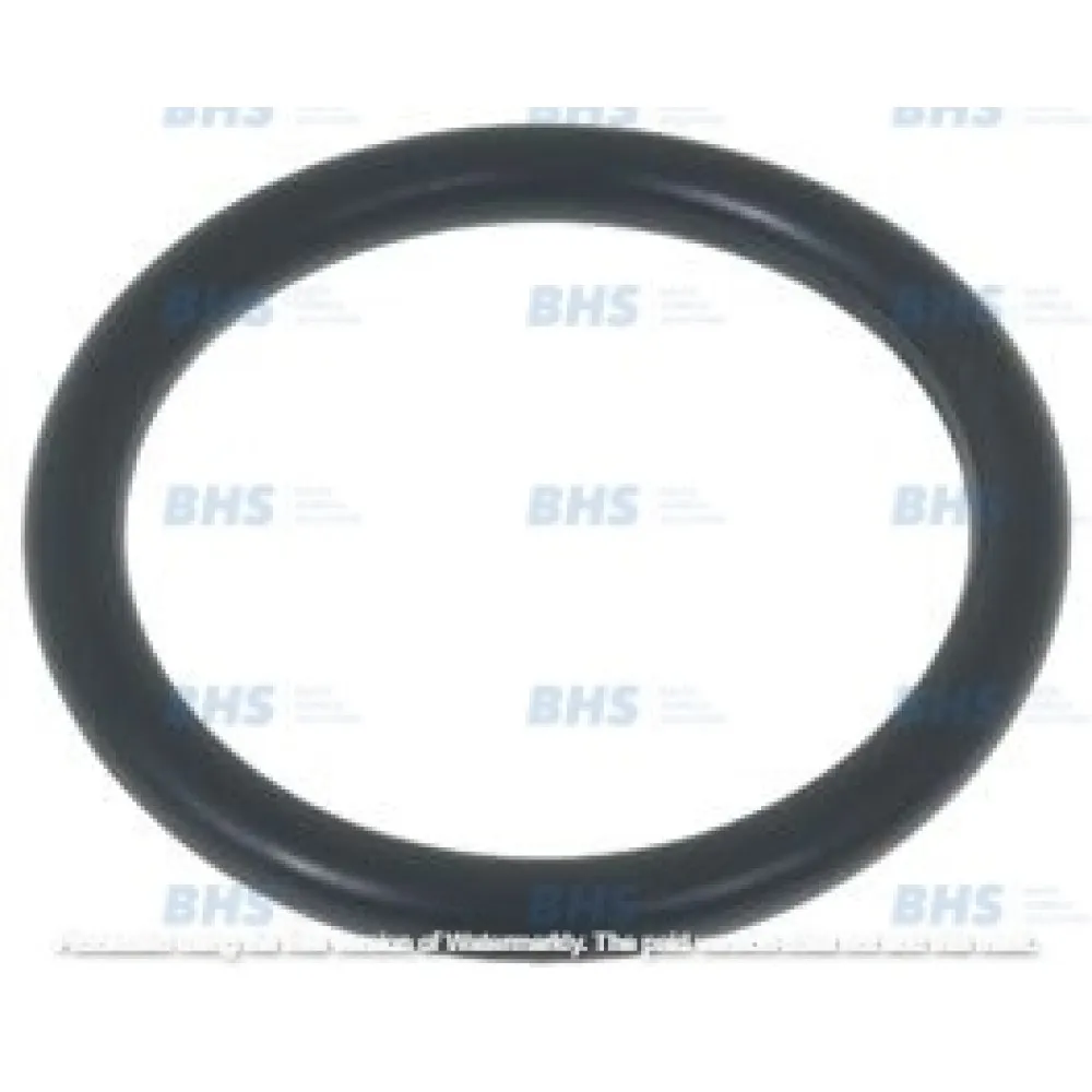EPDM O-RING 04112 - iekārtām