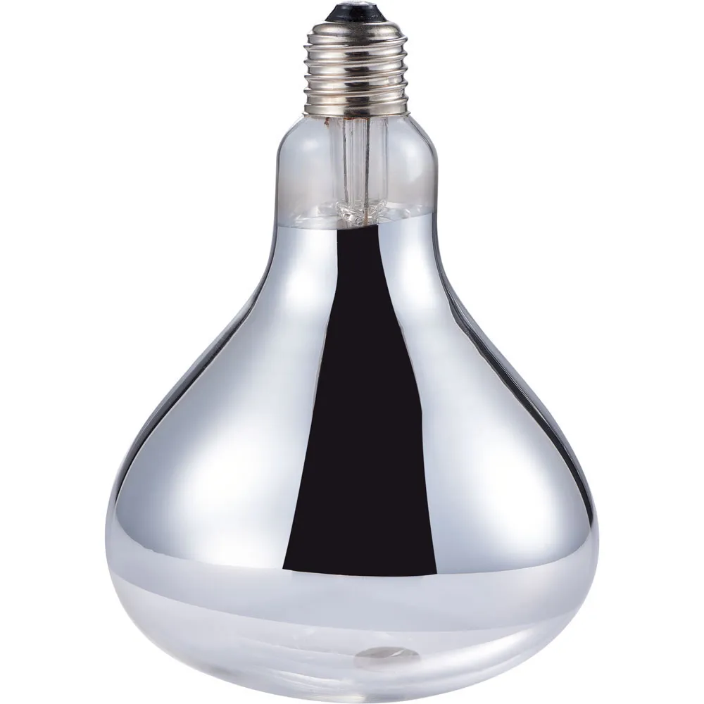 Ampoule de Réchauffement 250W